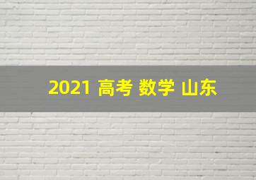 2021 高考 数学 山东